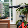 Quiz: Which Electric Bike Should You be Riding?