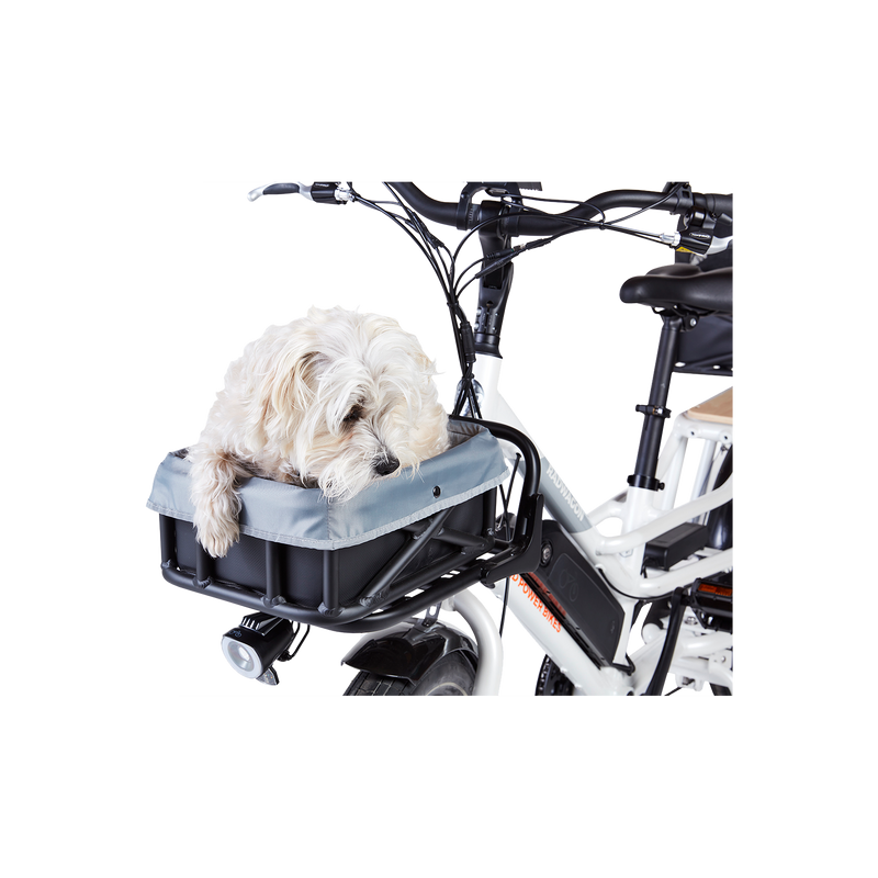 A small white dog in a basket liner on the front rack of a white ebike. 