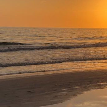 Image banner