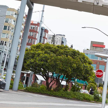 Image banner