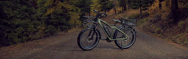 A RadRover electric fat bike on a mountain trail.