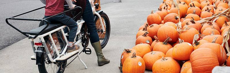 A woman and daughter on a RadWagon electric bike pull up alongside a pile of pumpkins.