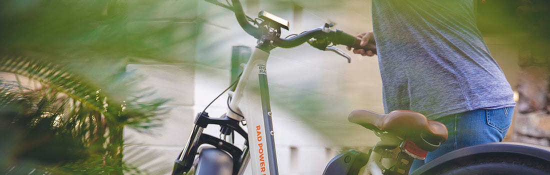 www.radpowerbikes.com