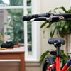 Quiz: Which Electric Bike Should You be Riding?