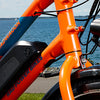 Behind the Bike: The RadWagon 4