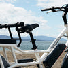 Here's What They're Saying about the RadWagon 4