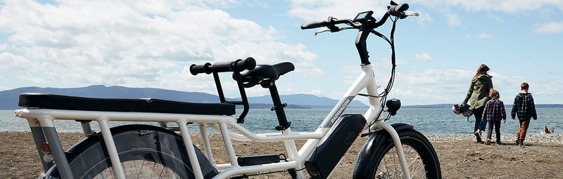 radwagon 4 reviews
