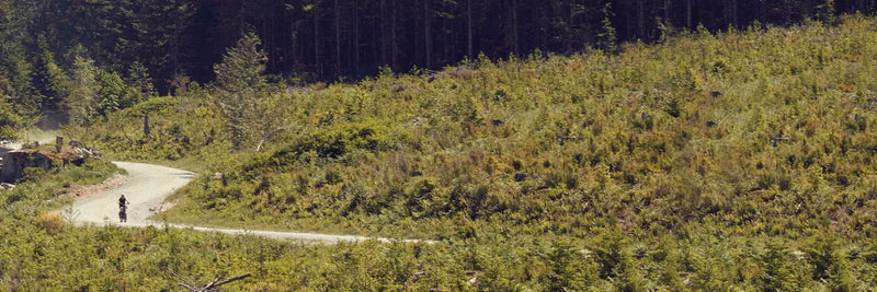 A RadRover 6 Plus on a dirt mountain road from a distance.