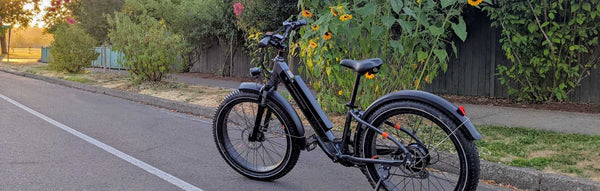 A RadRover 6 Plus in an idyllic bike lane alongside yellow flowers. The sun sets in the distance..