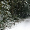 Winter Riding | Riding Rad