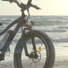 Rad Stories: Endless Summer