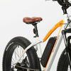 RadRover Electric Fat Bike