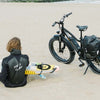 Ebiking in the EU