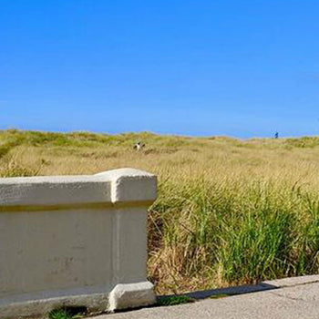 Image banner