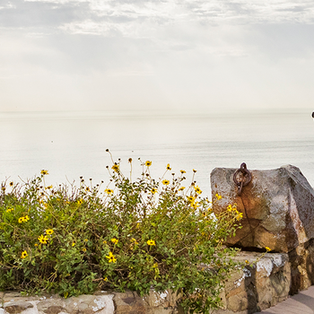 Image banner