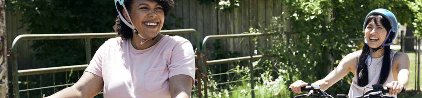 electric exercise bicycle