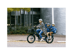 RadWagon™ Electric Cargo Bike