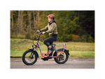 RadRunner™ Plus Electric Cargo Utility Bike