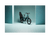 RadWagon™ Electric Cargo Bike