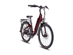 RadCity™ 5 Plus Electric Commuter Bike