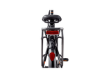 RadCity™ 5 Plus Electric Commuter Bike