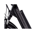 RadCity™ 5 Plus Electric Commuter Bike