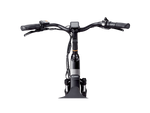 RadCity™ 5 Plus Electric Commuter Bike