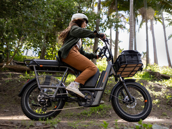 Rad Power Bikes RadRunner 3 Plus Review Rad Power Bikes RadRunner 3 Plus Review