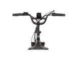 RadExpand™ 5 Plus Electric Folding Bike