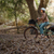 Rad Power Bikes
