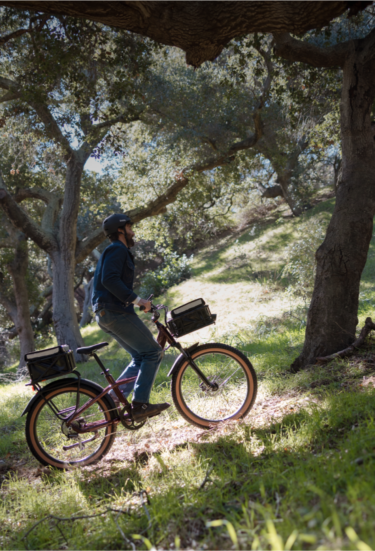 Rad Power Bikes Warranty Registration | Rad Power Bikes