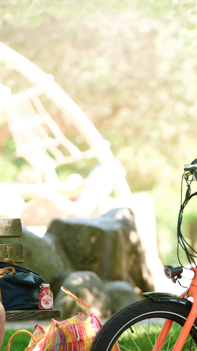 Family at a park with a RadWagon electric cargo bike