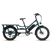 RadWagon™ Electric Cargo Bike