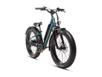 RadRover™ 6 Plus Electric Fat Tire Bike
