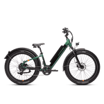 Side view of a green RadRover 6 Plus step-thru electric fat tire bike