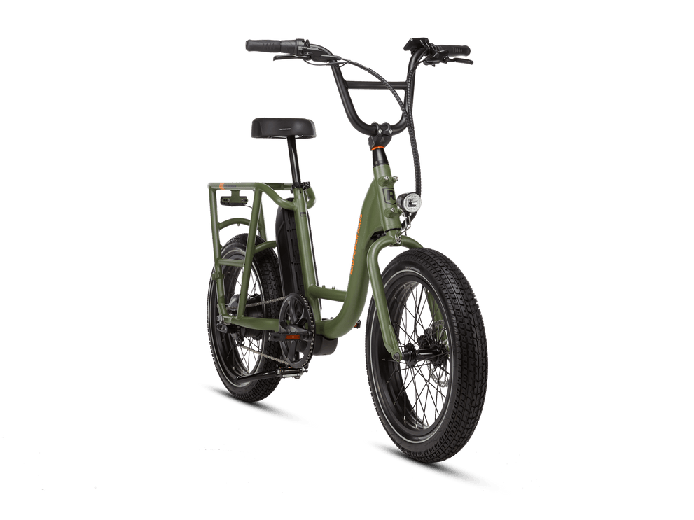 RadRunner™ Electric Cargo Utility Bike - صورة 5
