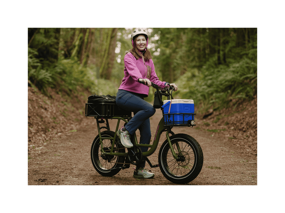 RadRunner™ Electric Cargo Utility Bike - صورة 10