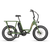 Side view of a green RadRunner 2 electric utility bike