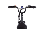RadRunner™ 3 Plus Electric Utility Bike