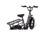 RadRunner™ 3 Plus Electric Utility Bike