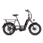 Charcoal-colored Radrunner 3 Plus electric utility bike