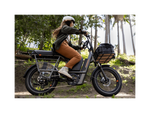RadRunner™ 3 Plus Electric Utility Bike