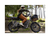 RadRunner™ 3 Plus Electric Utility Bike