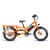 Ebike running boards on a RadWagon side view
