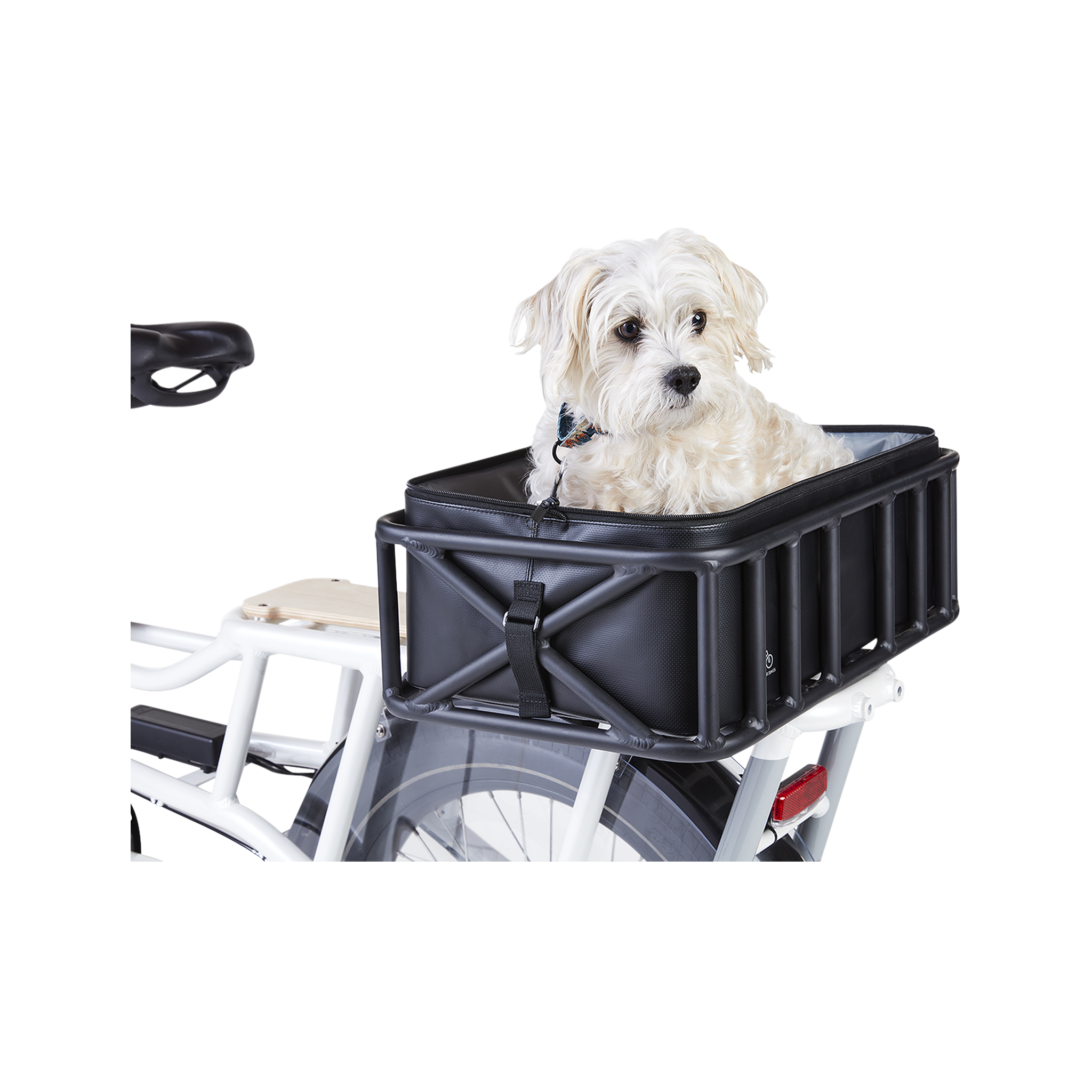 A small dog sitting inside a basket attached to the rear of an ebike. 