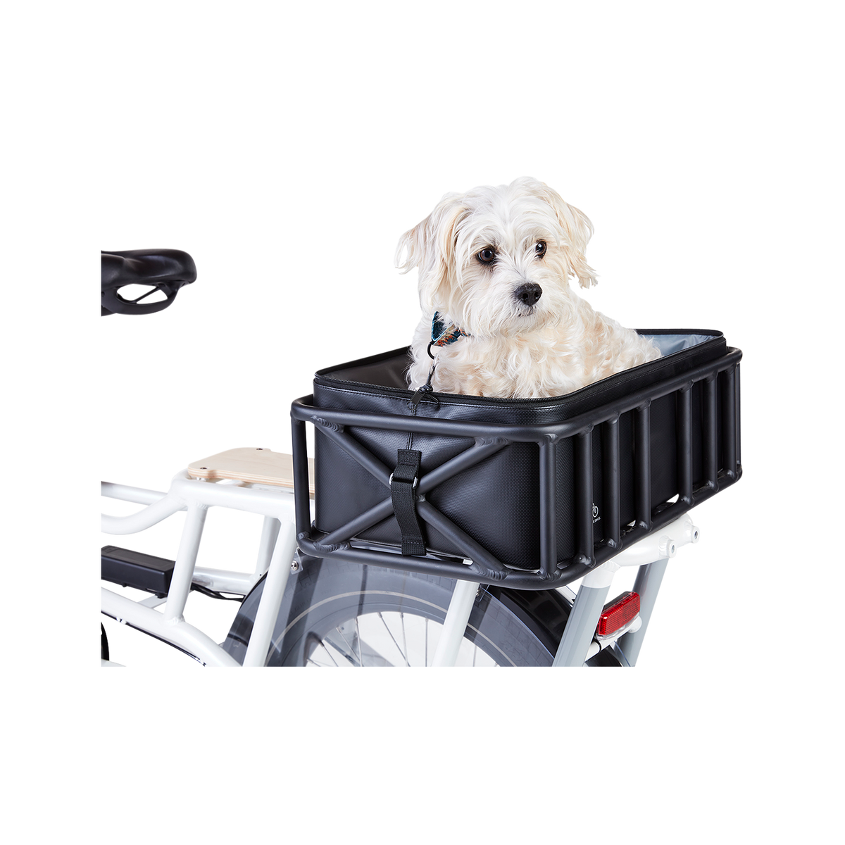 Pet Basket Carrier Rad Power Bikes Rad Power Bikes