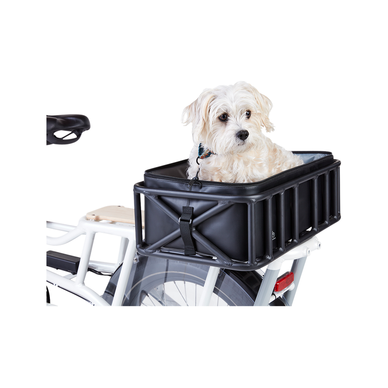 A small dog sitting inside a basket attached to the rear of an ebike. 
