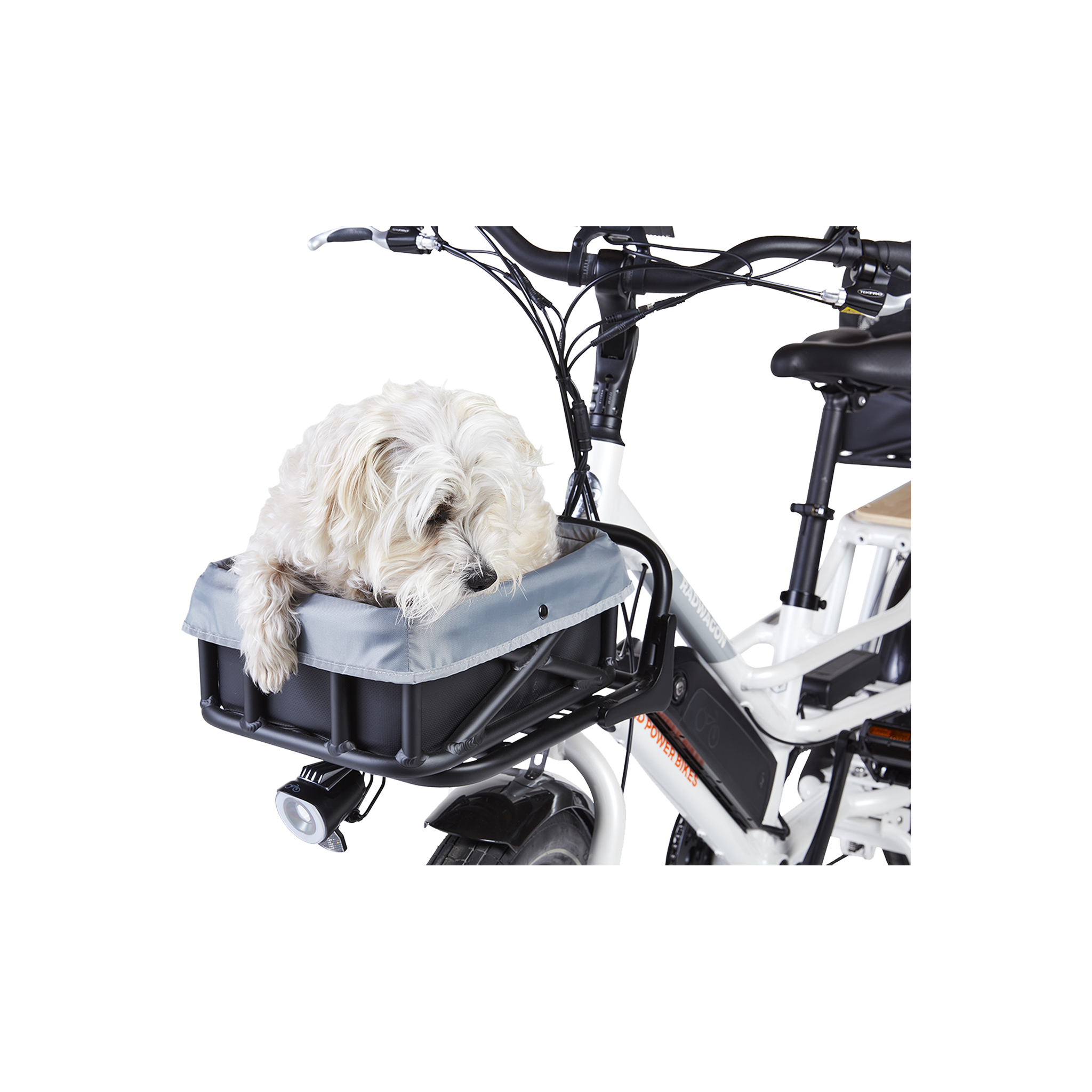 A small white dog in a basket liner on the front rack of a white ebike. 