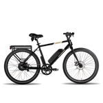 Rear rack on the RadMission ebike