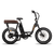 Side view of black RadRunner ebike with espresso Passenger Package seat on rear rack, clear plastic skirt covers near the rear wheel and retractable passenger foot pegs.